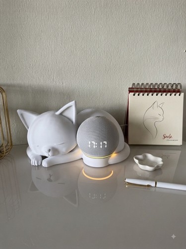 Sleeping cat echo dot - cat,
